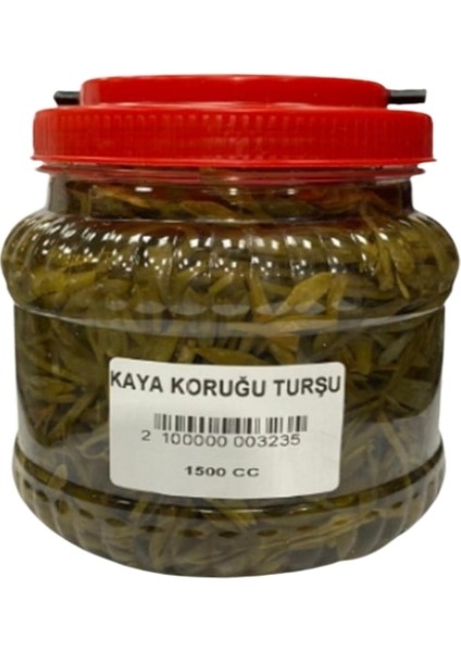 Kaya Koruğu 1500 cc