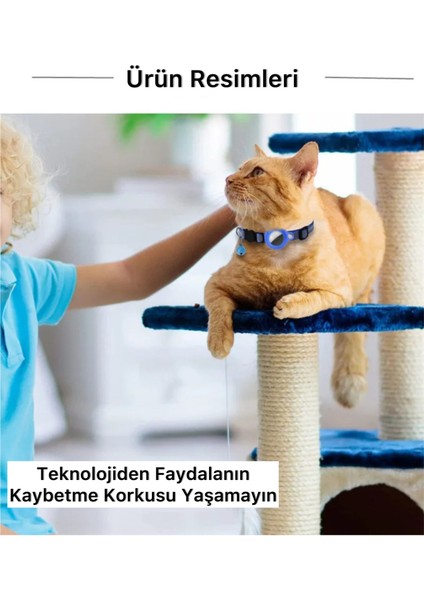 Airtag Tutucu Özellikli Kedi Tasması fiyatları