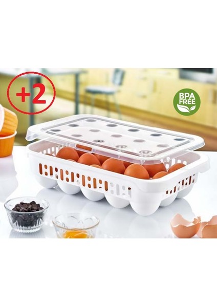 Yumurta Saklama Kabı 15'li 2 Adet Steril Yumurtalık Kapaklı Yumurta Organizeri