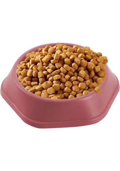 Yavaş Besleyici Kedi ve Köpek Kaseleri fırsatları