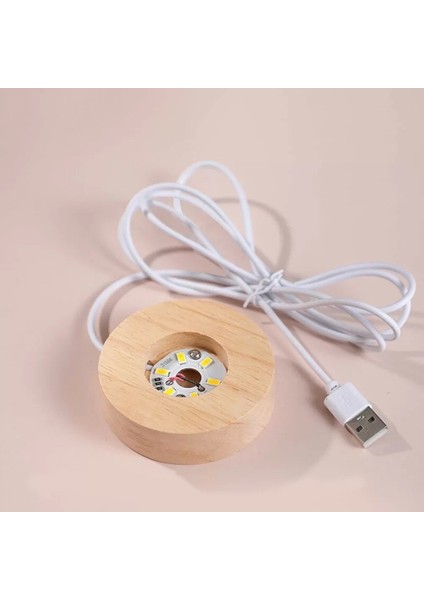 Işıklı Dekoratif Usb'li Cam Küre