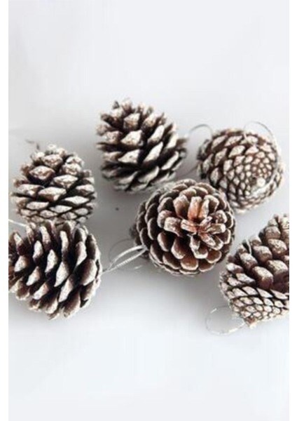 Yılbaşı Çam Ağacı Süsü Kozalak Karlı 6’lı