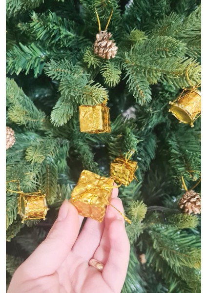 12'li Gold Kozalak Hediye Paketi Davul Şekilli Minik 3cm Yılbaşı Ağaç Süsleri fırsatları