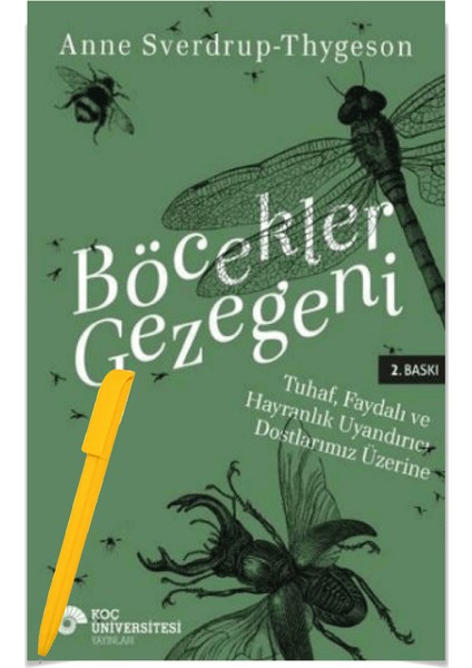 Alfa Kalem+Böcekler Gezegeni / Anne Sverdrup Thygeson (Yeni) Koç Üni Kitap