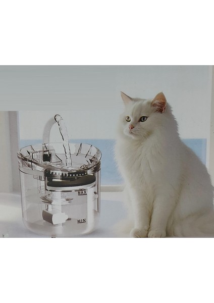 Ev Hayvanları Için Sessiz Şeffaf Otomatik Sirkülasyonlu Su Sebili (Adaptörlü)