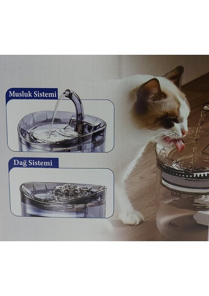 Ev Hayvanları Için Sessiz Şeffaf Otomatik Sirkülasyonlu Su Sebili (Adaptörlü) modelleri