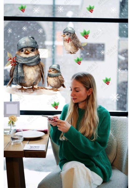 Yılbaşı Christmas Anne Kuş ve Yavruları Kokina-Kar Taneleri Sticker Seti