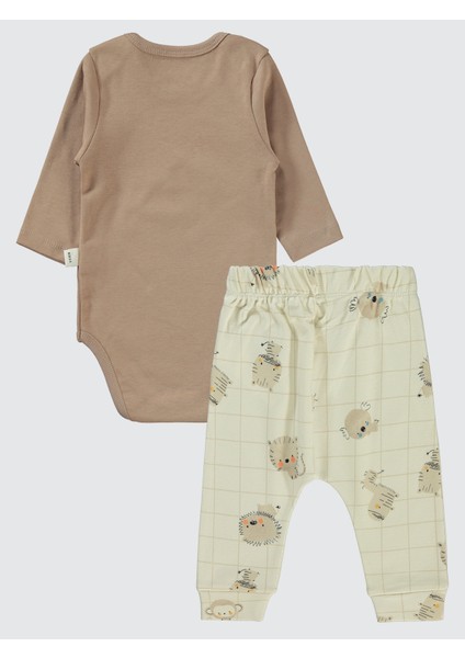 Erkek Bebek 3'lü Takım 6-18 Ay Kahve fiyatları