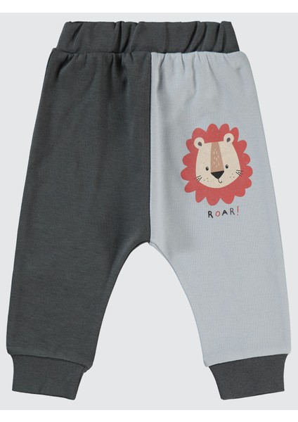 Erkek Bebek Patiksiz Tek Alt 6-18 Ay Füme