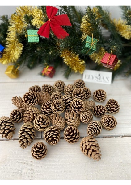 Kozalak Dekoratif 10 Adet Yılbaşı Süsleri Yılbaşı Ağacı Süsü Doğal Noel Çam Kozalağı