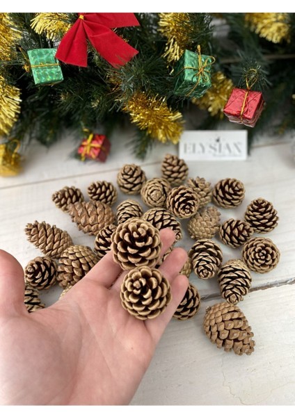 Kozalak Dekoratif 10 Adet Yılbaşı Süsleri Yılbaşı Ağacı Süsü Doğal Noel Çam Kozalağı fiyatları