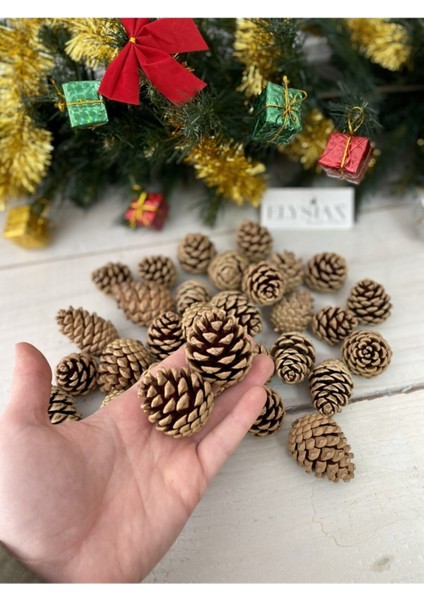 Kozalak Dekoratif 10 Adet Yılbaşı Süsleri Yılbaşı Ağacı Süsü Doğal Noel Çam Kozalağı modelleri