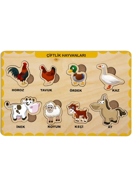 Ahşap Bul Tak Eğitici 2 Adet Yapboz Puzzle Seti