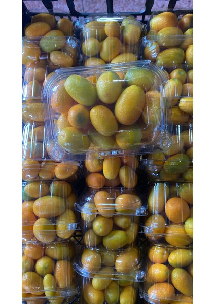 Kamkat 1 kg fiyatları