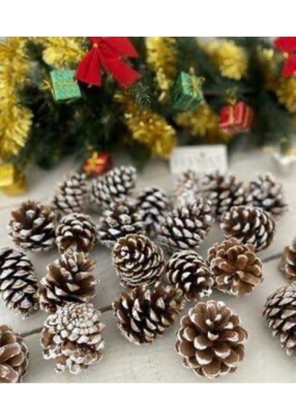 Yılbaşı Naturel Karlı Kozalak Ağaç Süsü 6 Lı fırsatları