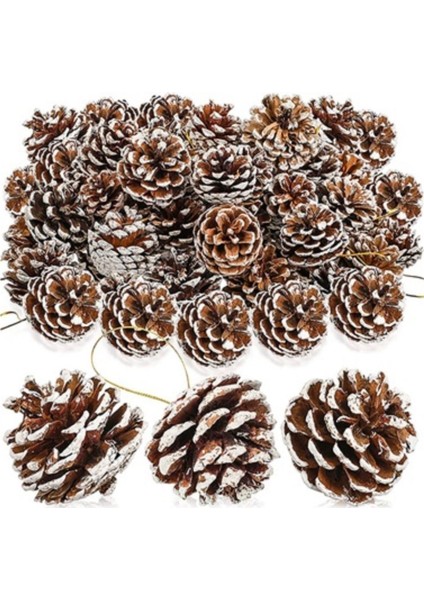 Yılbaşı Naturel Karlı Kozalak Ağaç Süsü 6 Lı indirimleri