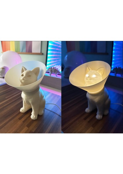 Kedi Lamba