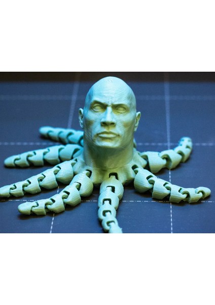 Rocktopus fiyatları