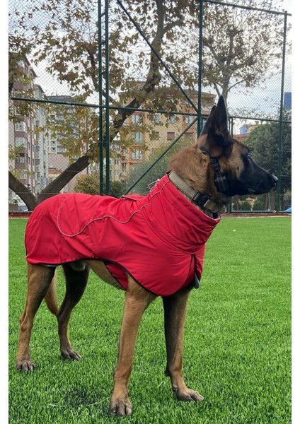 Köpek Montu, Köpek Yağmurluğu, Büyük ve Orta Irk Su Geçirmez Köpek Montu