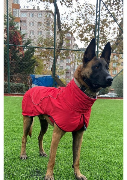 Köpek Montu, Köpek Yağmurluğu, Büyük ve Orta Irk Su Geçirmez Köpek Montu