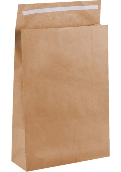 Altın Yaldız Renk Bantlı Hediye Paketi - Kağıt Hediye Poşeti - 25X30,5X8 cm - 2 Adet - HP056