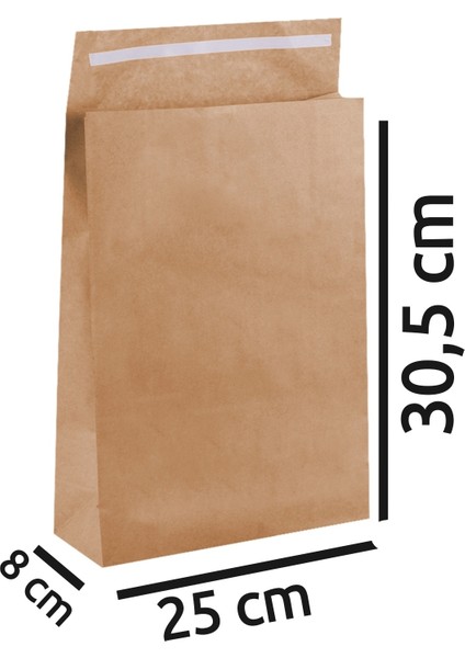 Altın Yaldız Renk Bantlı Hediye Paketi - Kağıt Hediye Poşeti - 25X30,5X8 cm - 2 Adet - HP056