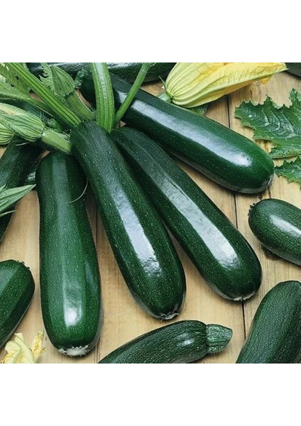 Siyah Kabak Tohumu 10 gr Pınaper Tohumculuk
