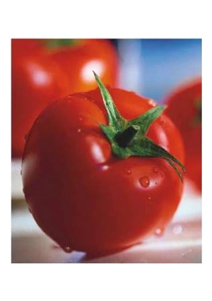 Domates H-2274 Tohumu 1 gr