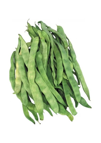 Sırık Öz Ayşe Fasulye Tohumu 10 gr Pınaper Tohumculuk