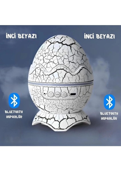 Deluxe Dinozor Yumurtası Gece Masa Lambası Bluetooth Hoparlör LED Lamba Galaxy Projektör LED Işık