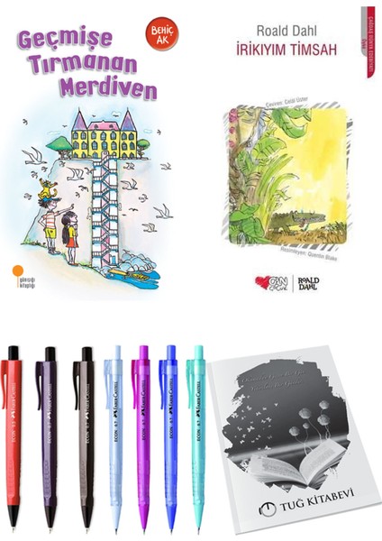 Irikıyım Timsah ve Geçmişe Tırmanan Merdiven 2'li Set - Kalem