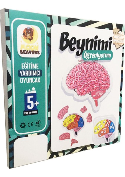 Beynimi Öğreniyorum Ahşap Puzzle - Çocuk Yapboz - 5 Yaş ve Üzeri Eğitime Yardımcı Oyuncak