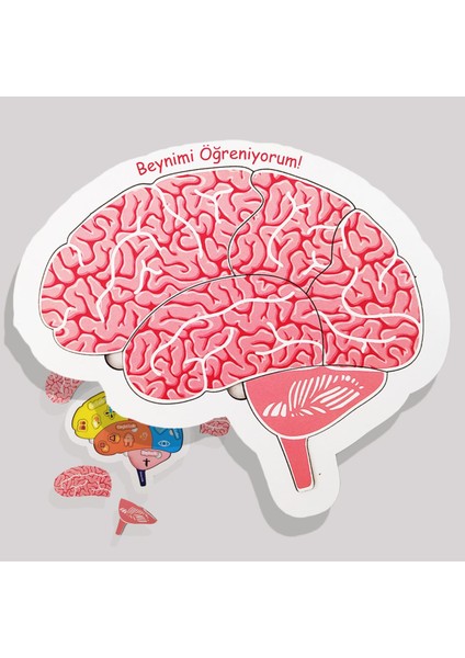 Beynimi Öğreniyorum Ahşap Puzzle - Çocuk Yapboz - 5 Yaş ve Üzeri Eğitime Yardımcı Oyuncak fiyatları
