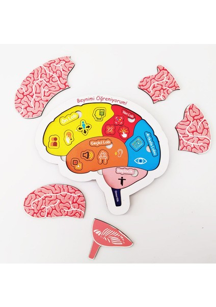 Beynimi Öğreniyorum Ahşap Puzzle - Çocuk Yapboz - 5 Yaş ve Üzeri Eğitime Yardımcı Oyuncak modelleri