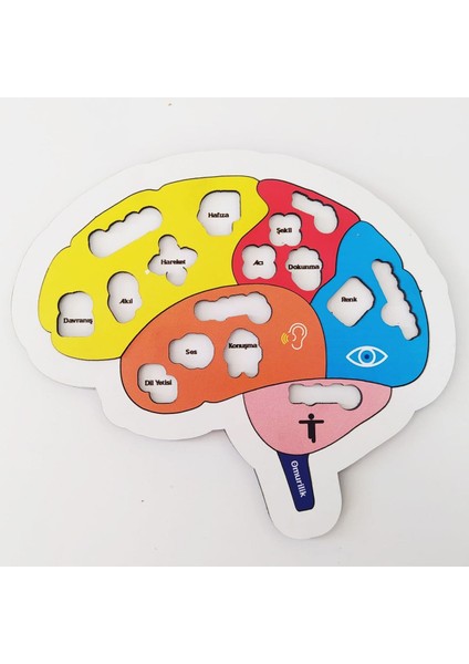 Beynimi Öğreniyorum Ahşap Puzzle - Çocuk Yapboz - 5 Yaş ve Üzeri Eğitime Yardımcı Oyuncak fırsatları