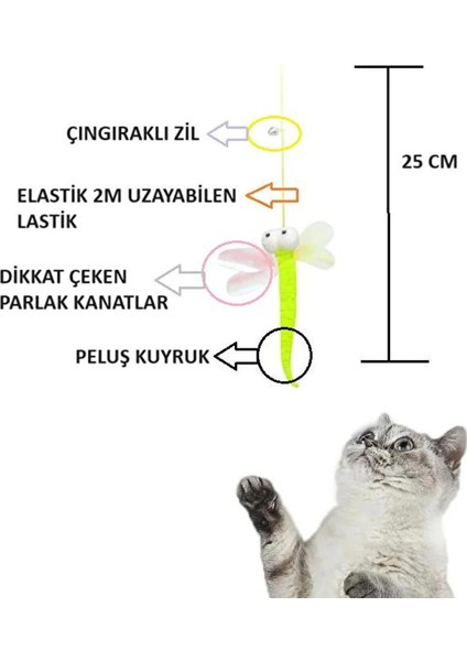 Kendinden Yapışkanlı Elastik Kedi Oltası Oyuncağı