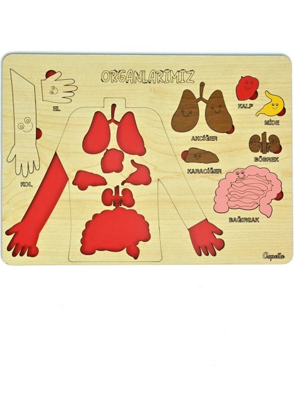 Ahşap Bultak Puzzle Eğitici Oyuncak, Güvenli ve Eğlenceli Öğrenme Deneyimi, 3+ Yaş