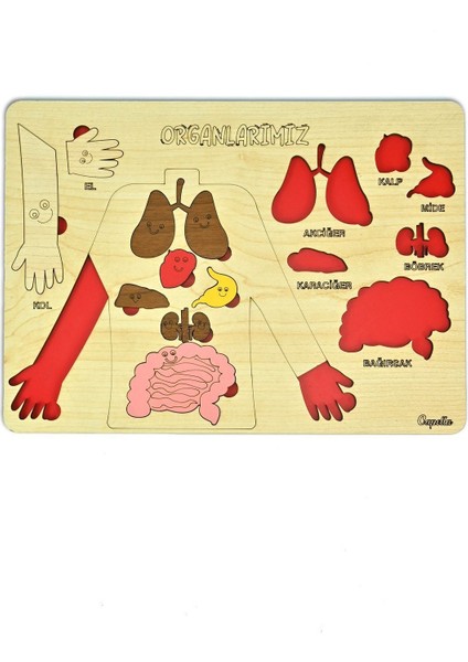 Ahşap Bultak Puzzle Eğitici Oyuncak, Güvenli ve Eğlenceli Öğrenme Deneyimi, 3+ Yaş fiyatları