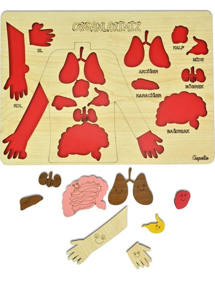 Ahşap Bultak Puzzle Eğitici Oyuncak, Güvenli ve Eğlenceli Öğrenme Deneyimi, 3+ Yaş modelleri
