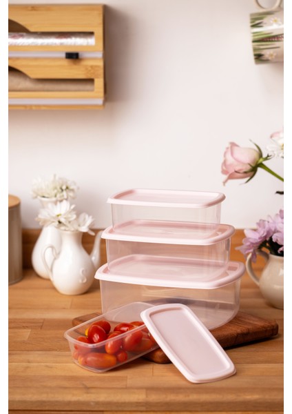 4lü Set Saklama Kabı Pembe fiyatları