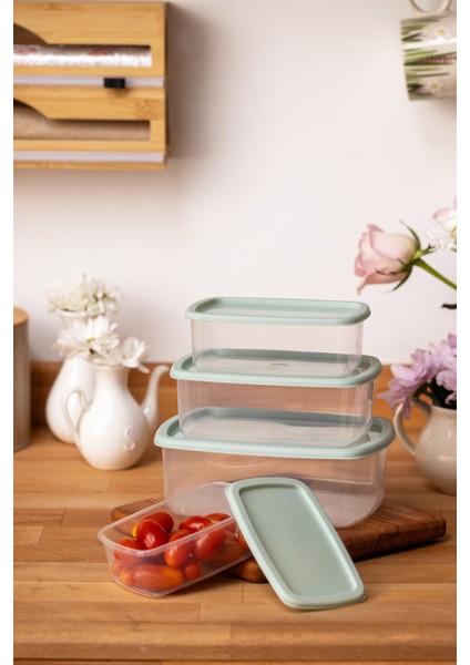 4lü Set Saklama Kabı Yeşil fiyatları