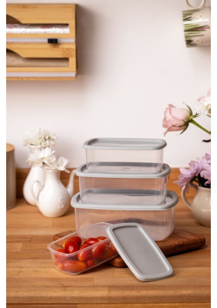 4lü Set Saklama Kabı Gri fiyatları