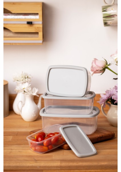 4lü Set Saklama Kabı Gri modelleri