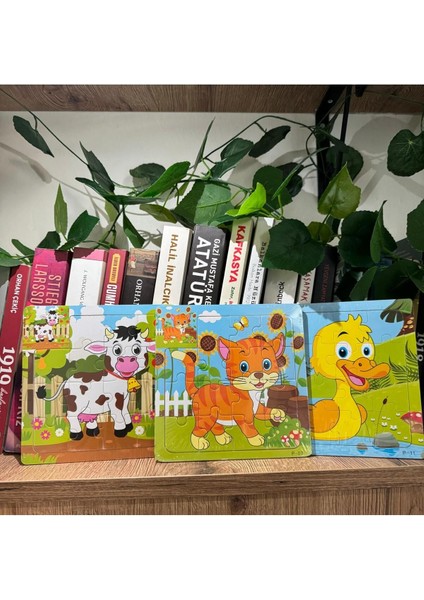 3'lü Ahşap Montessori Yapboz Seti, Renkli ve Eğitici Oyunlar, 3+ Yaş