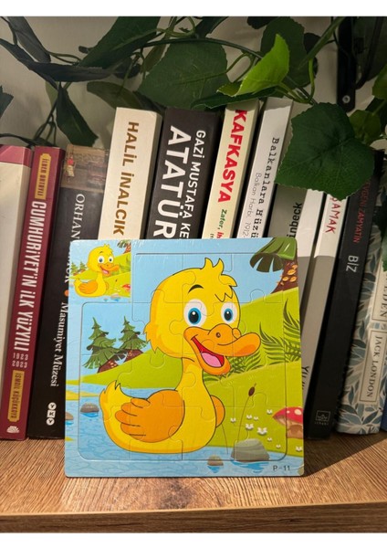 3'lü Ahşap Montessori Yapboz Seti, Renkli ve Eğitici Oyunlar, 3+ Yaş fırsatları