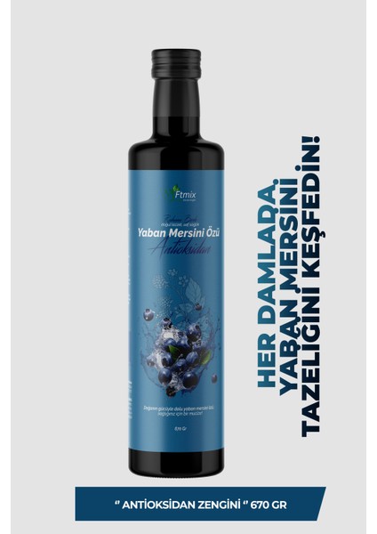 Yaban Mersini Özü Antioksidan Etkili 670GR