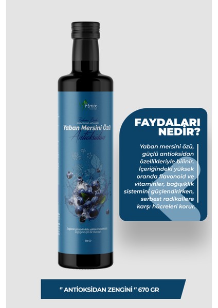 Yaban Mersini Özü Antioksidan Etkili 670GR