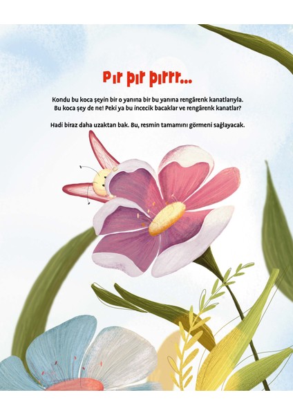 Kelebek Kadar Ağır Fil Kadar Hafif /altunnur Seyratlı modelleri