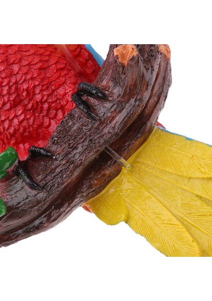 Sola Iyor Kırmızı (Yurt Dışından) modelleri