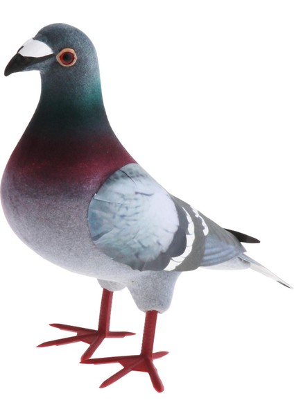 Simülasyon Güvercin, Simülasyon Ük Kuşu, Simülasyon Ük Güvercin 1 A (Yurt Dışından) fiyatları